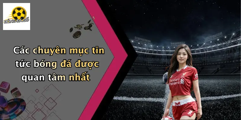Các chuyên mục tin tức bóng đá được quan tâm nhất