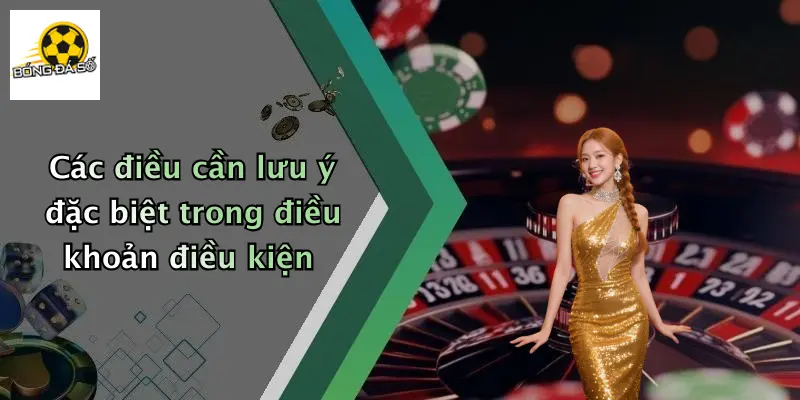 Điều Khoản Điều Kiện 3 Các điều cần lưu ý đặc biệt trong điều khoản điều kiện