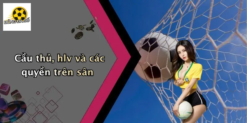 Cầu thủ, hlv và các quyền trên sân