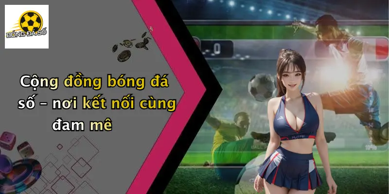 Cộng đồng bóng đá số – nơi kết nối cùng đam mê