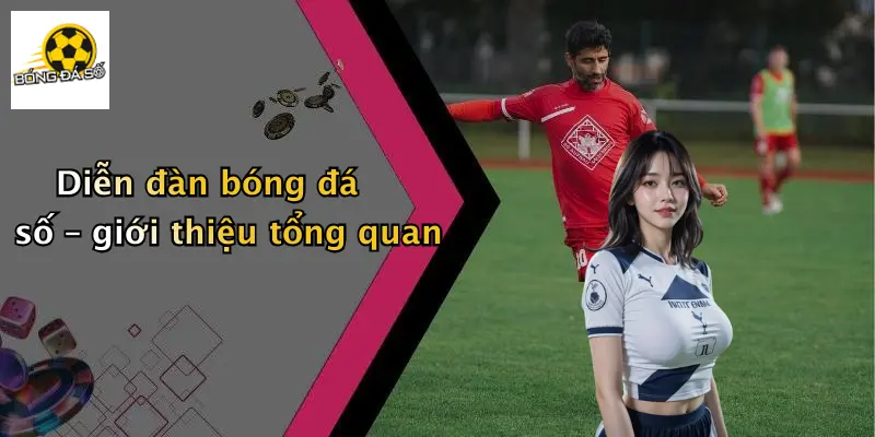 Diễn đàn bóng đá số – giới thiệu tổng quan