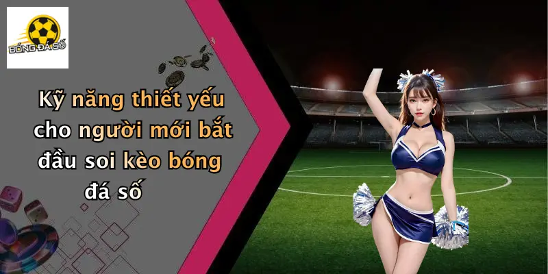 Kỹ năng thiết yếu cho người mới bắt đầu soi kèo bóng đá số