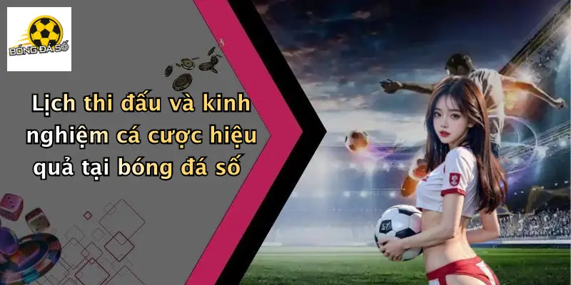 Lịch thi đấu và kinh nghiệm cá cược hiệu quả tại bóng đá số