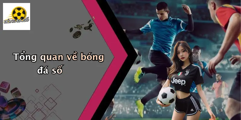 Bóng đá số 116 Bóng Đá Số