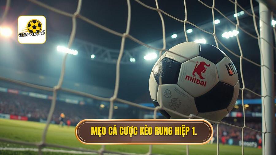 Tổng hợp mẹo cá cược kèo rung hiệp 1 hiệu quả từ cao thủ