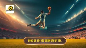 Kèo cược đội ghi bàn từ tình huống đánh đầu: Kinh nghiệm về bờ