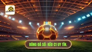 bóng đá số C1 hôm nay