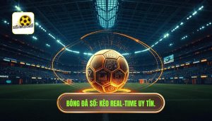 bóng đá số real-time